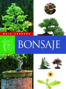 Vaše zahrada-bonsaj